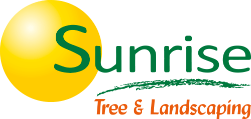sunrise-tree-and-landscaping-logo