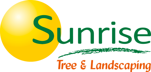 Sunrise Tree and Landscaping